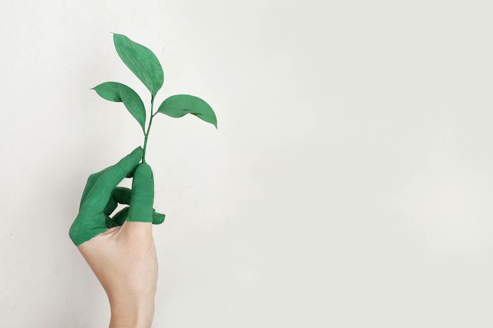 hand with green half gloves holding leaves