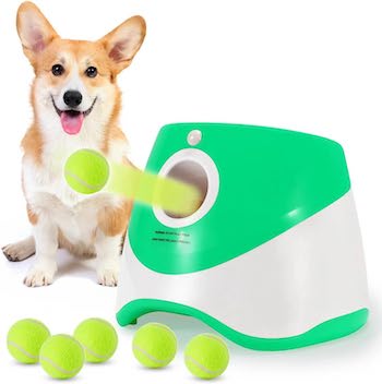 Automatic Ball Launcher for corgi