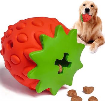 Treat Dispenser Toy for corgi