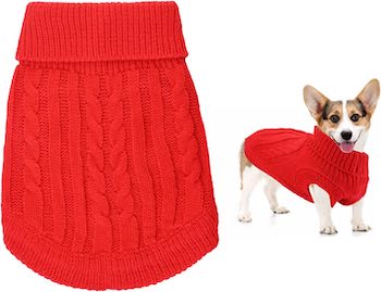 Apparel for corgi