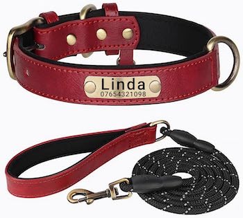 corgi Collar and Leash Set personalised