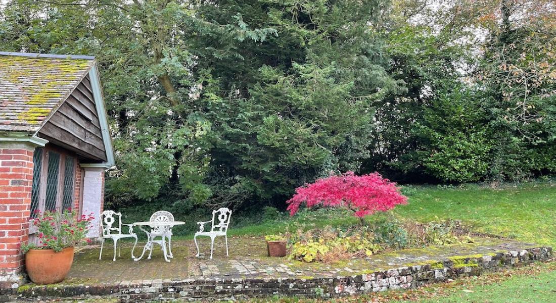 garden in autumn