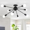 ASHUAQI Black Ceiling Light for Living Room