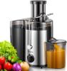 Reemix Centrifugal Juicer 500W